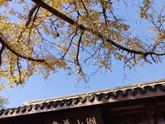 -宝界山林公园