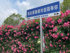 -武汉紫薇都市田园