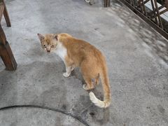 -大地农庄(逢沙大道店)