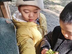 -蒙蒙狮蒙台梭利儿童之家