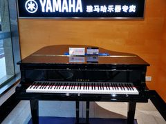 -海音琴行雅马哈钢琴·海伦·施特劳斯(金沙店)