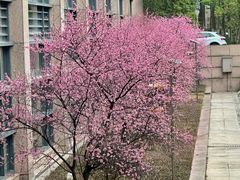 -浙江大学(紫金港校区)