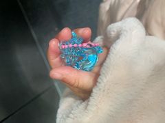 -宁波儿童口腔医院(钱湖院区)