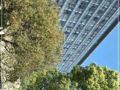 -上海市第一人民医院(松江南部)