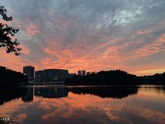 -广州长隆野生动物世界