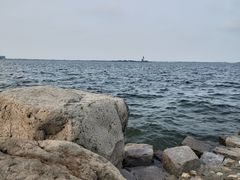 酒店后院-上海滴水湖皇冠假日酒店