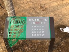 -大兴滨河森林公园