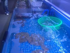 -渔民船说·北塘海鲜·天津菜·海肠捞饭(北塘古镇店)