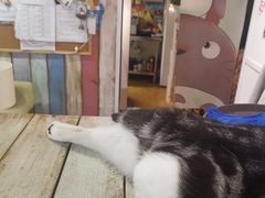 -小时光咖啡馆(开森度假森林店)
