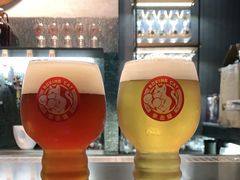 -Boxing Cat Brewery拳击猫精酿啤酒馆(永福店)