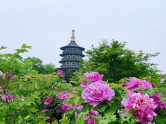 -隋唐洛阳城明堂天堂景区