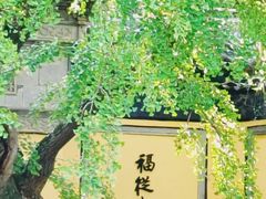 -惠山古镇·寄畅园