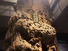 -乐山乌木文化博览苑