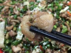 -东吴霸王兔(松青路店)