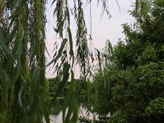 -南通濠河风景名胜区
