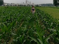 -皇藏峪国家森林公园