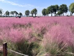 -汉长安城未央宫国家考古遗址公园