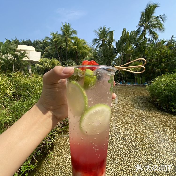 来三亚就办两件事！看周董演唱会和吃糟粕醋