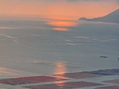 -花竹村