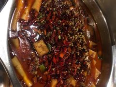 豆腐皮-宽口美蛙鱼头(大唐西市店)