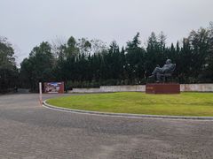 -上海海湾国家森林公园