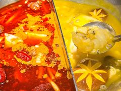 -湊湊火锅·茶憩(郑州绿地新都会店)
