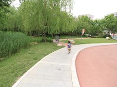 -国家动漫园