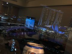 -新加坡文华东方酒店