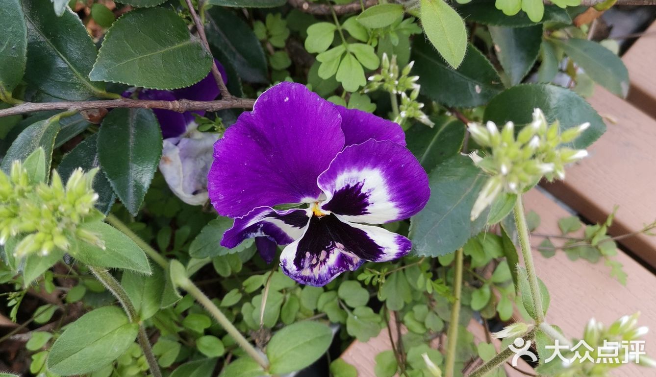 继前几天上海东方明珠等22. 个景点对外开放