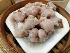 -蒲园食堂(中山大学广州校区南校园店)