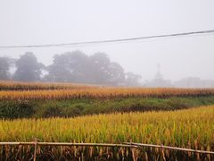 -贵州云顶草原民族风情园