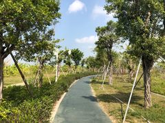 -芒洲湿地公园