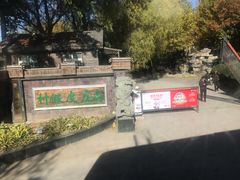 -尚庄度假村·庭台树下·户外烧烤·团建CS·轰趴营地(上庄水库店)