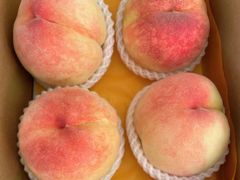 -老袁家蜜桃农场·阳山水蜜桃