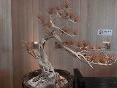 -阿嬷手作(南宁亭江步步高店)