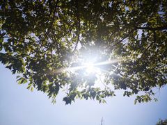 -四川大学(望江校区)