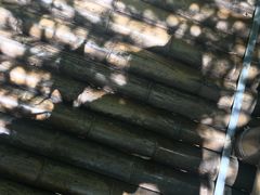 -陶祖圣境风景区