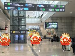-广州白云国际机场-T2航站楼