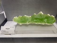 -湖南省地质博物馆