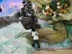 -海合安青岛极地海洋公园