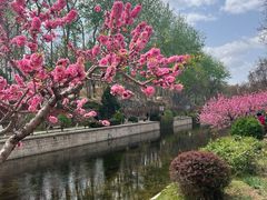 -海棠花溪(元大都城垣遗址公园)