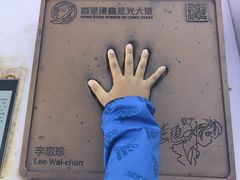 -九龙公园