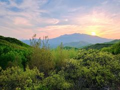 -灵山