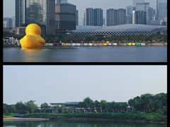 -深圳人才公园