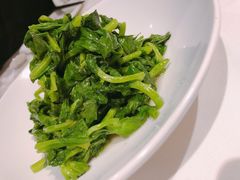 高山豆苗-南麓·浙里(外滩店)
