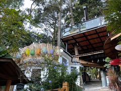 -云涛森林温泉