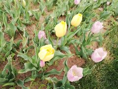 -长春公园(普阳街道)