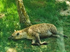 -北京野生动物园