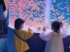-海合安成都极地海洋公园