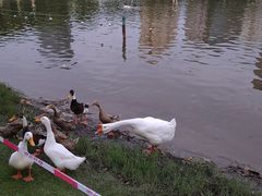 -黄兴公园